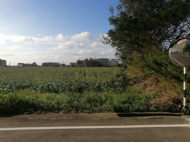 桃園觀音農地-6