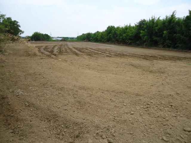 新竹新豐農地-2