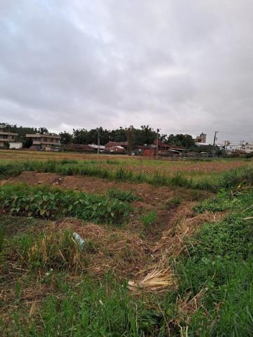 桃園平鎮農地-2