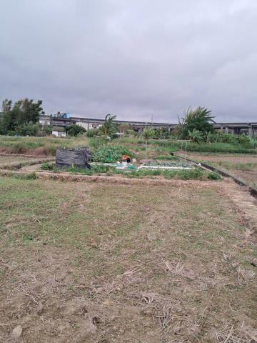 桃園平鎮農地-4