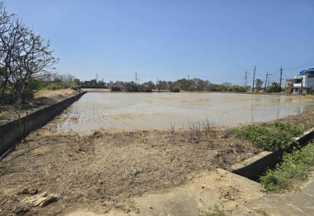 桃園觀音農地-1