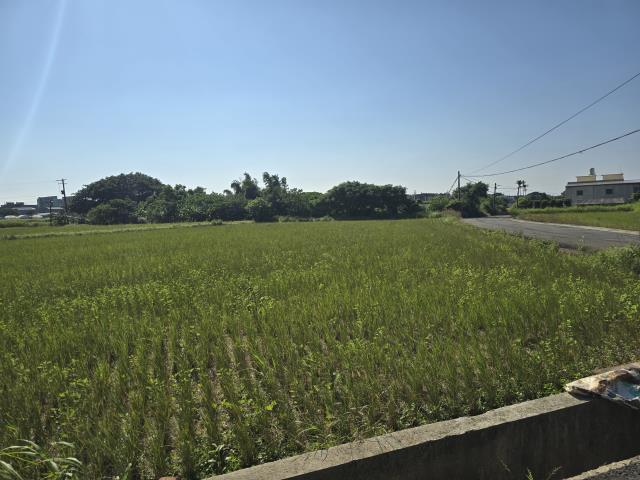 桃園中壢農地-2