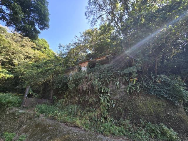 芎林林地-8